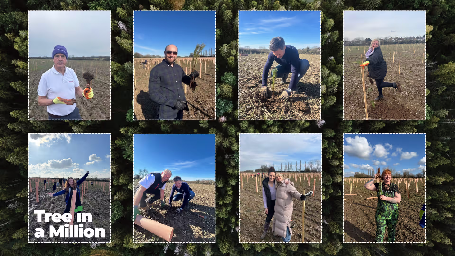 Tree planting events 2025